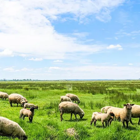 Gorgeous In With Wifi *