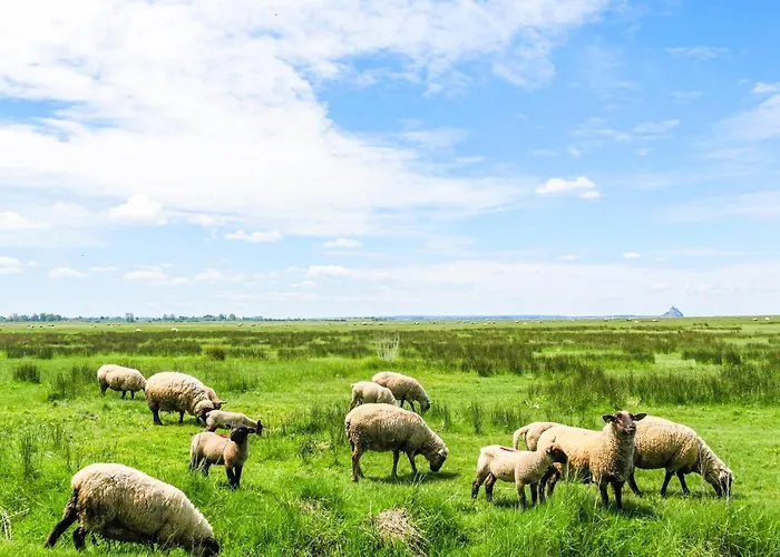 Gorgeous In With Wifi *